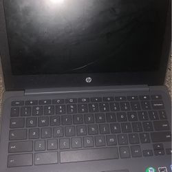 Hp Chromebook 