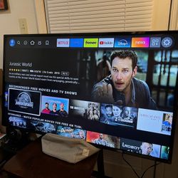 50” LG SMART TV + Firestick 