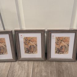 (4) 8x10 Picture Frames 