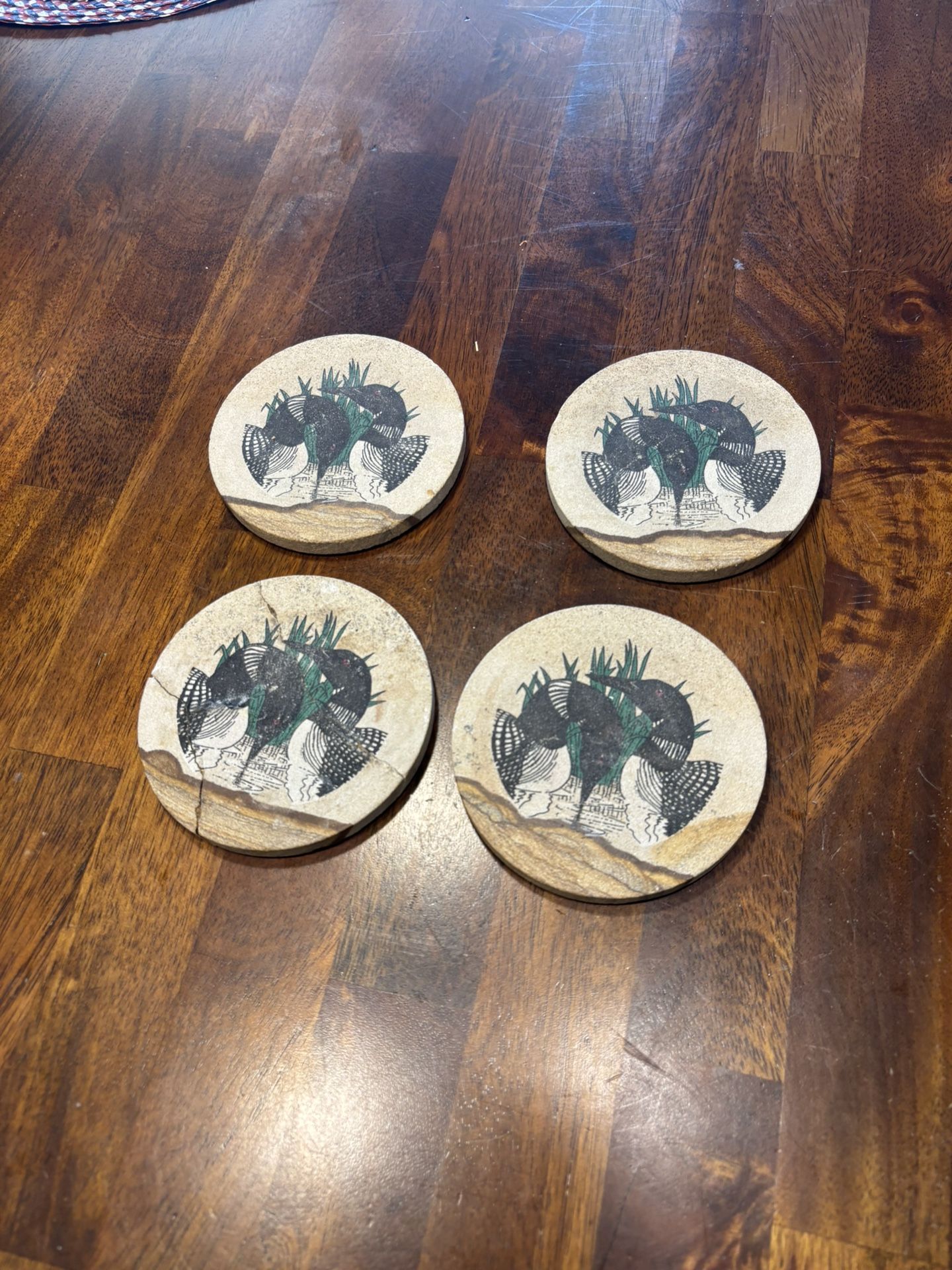 Thirstystone Sandstone Set Of 4 Coasters Common Loons Birds