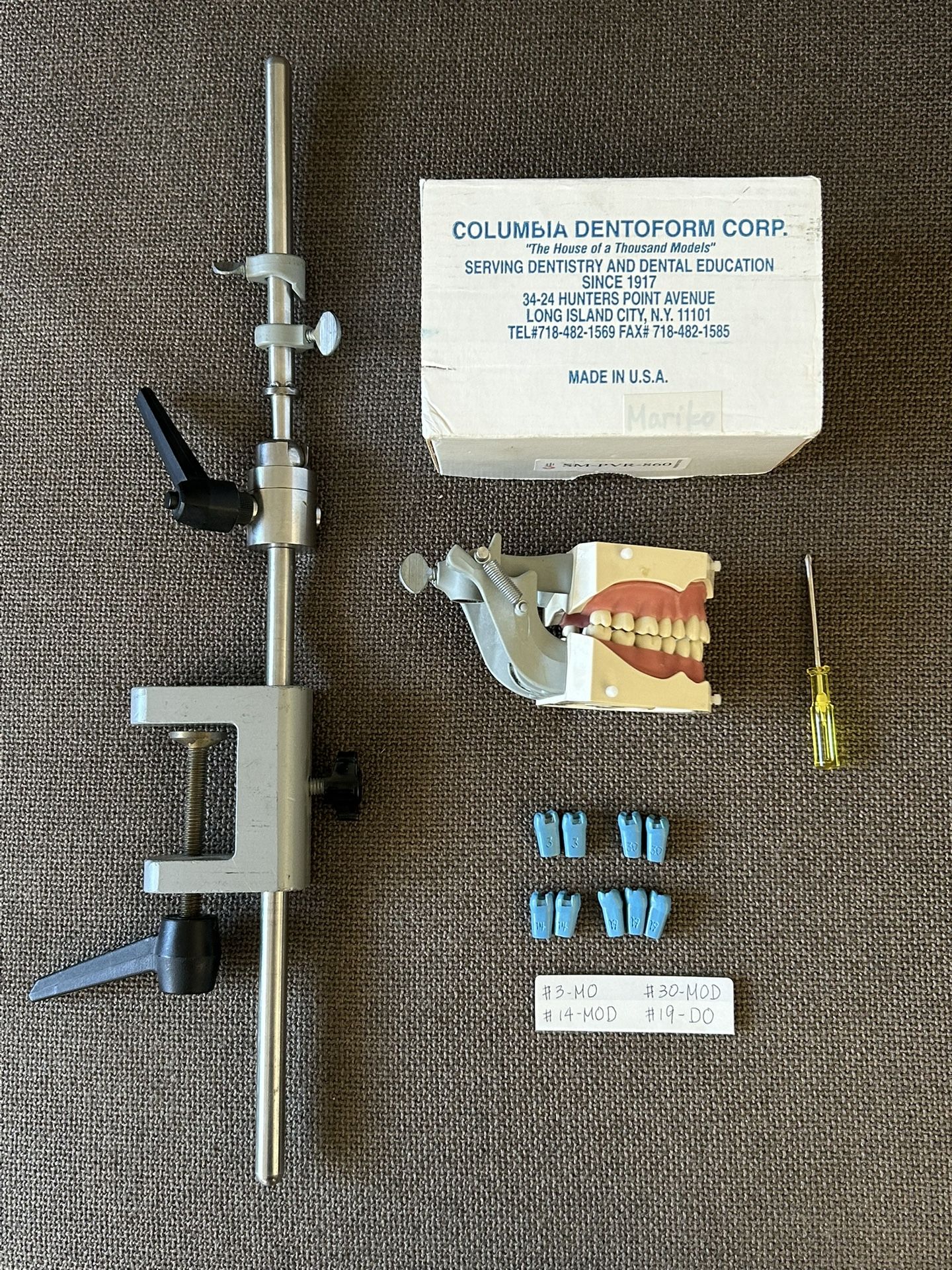 Genuine Columbia Dentform Typodont SM-PVR-860