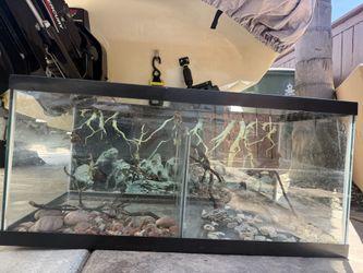 New fish tank