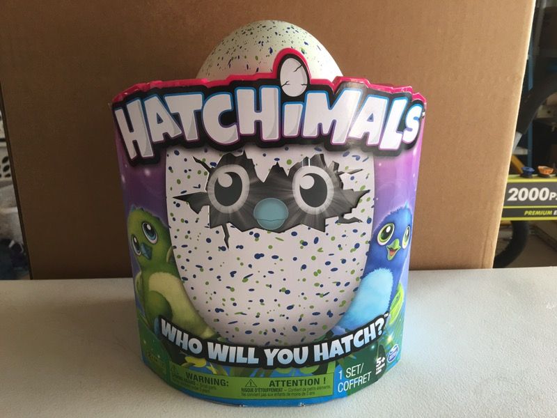Hatchimal blue green Don't miss out