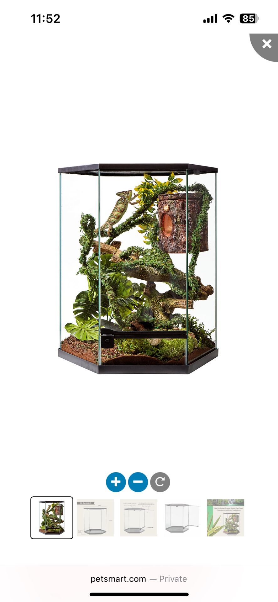 Vertical Hexagon  Reptile Terrarium -20 Gallon
