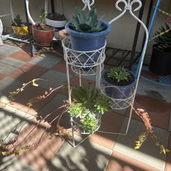 Jardín