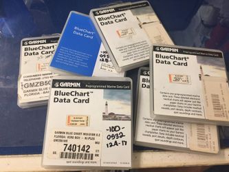 Several Garmin Chips