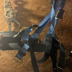 Body Harness 