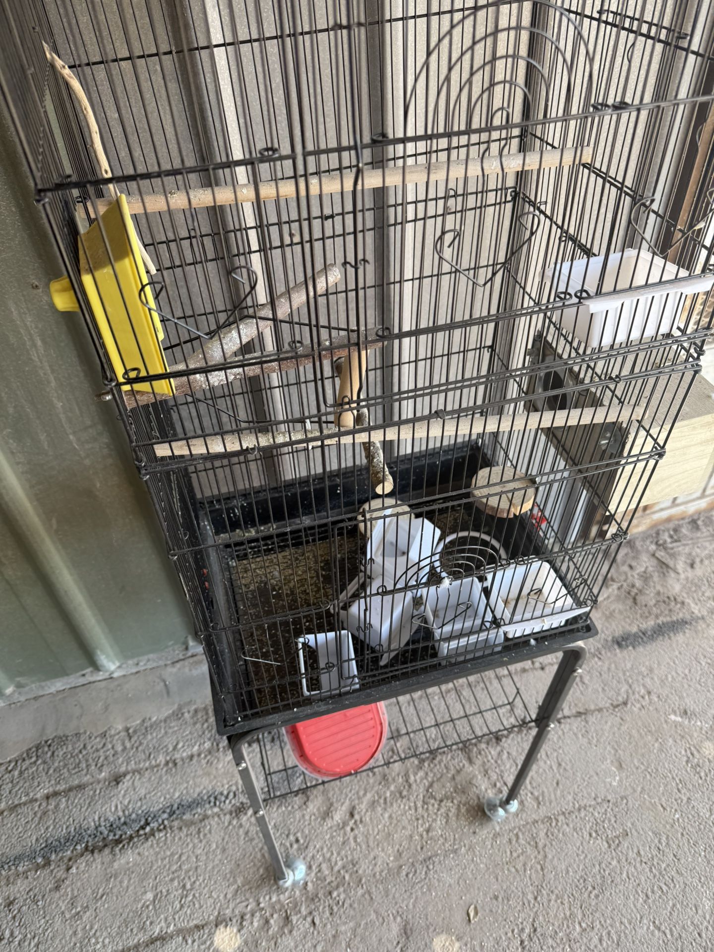 Bird Cages