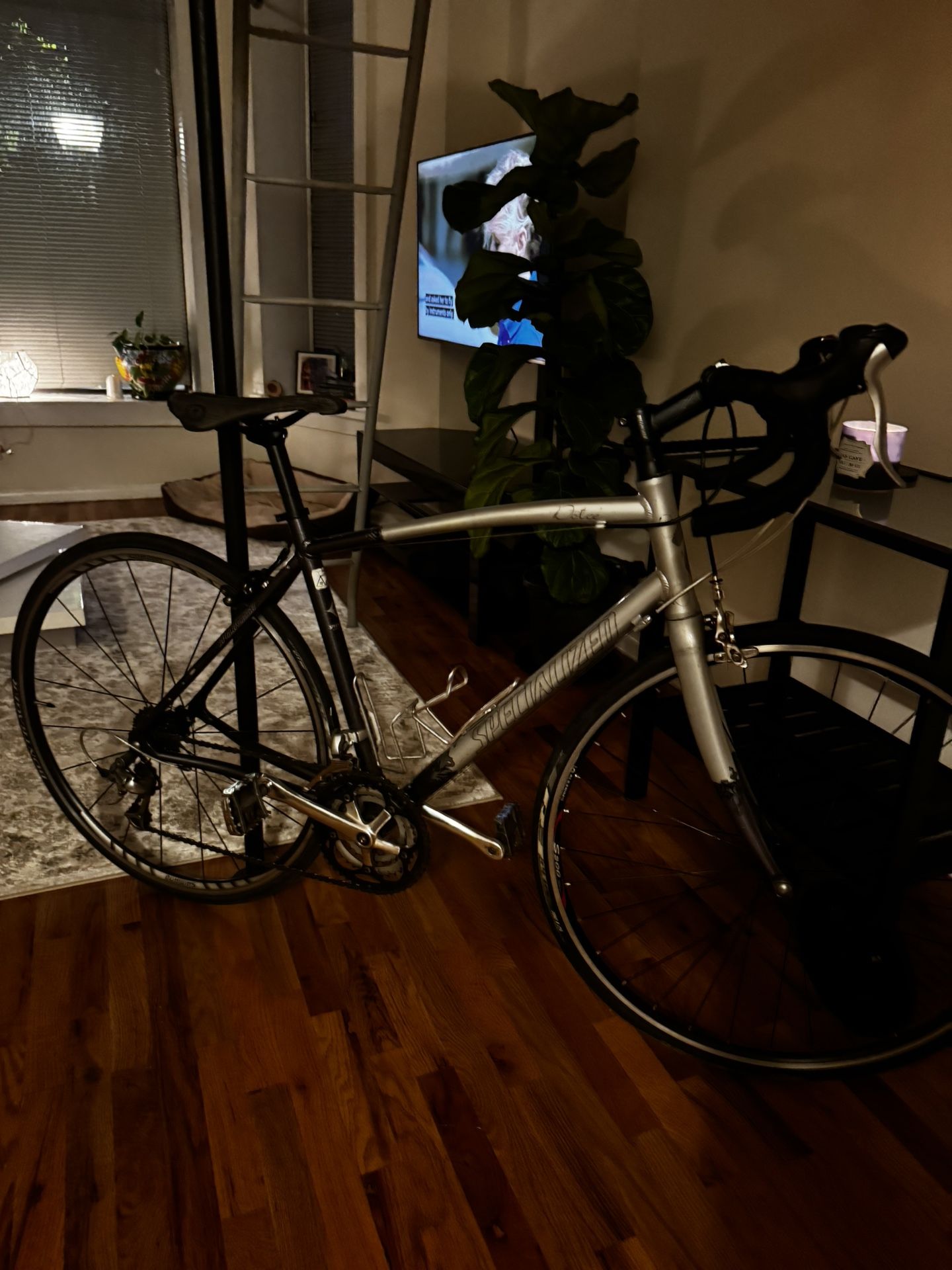 Specialized Dolce Bike 54cm