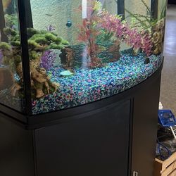 FISH tank & MORE!!!