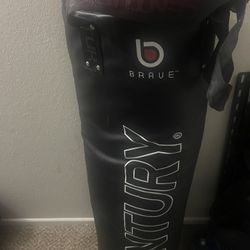 Punching Bag 