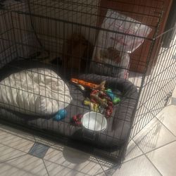 XL Latge Dog Crate. Perfect Condition Wirh Bed