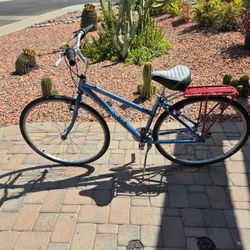 Women's 700c Raleigh C200 City Bike 