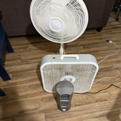 3 Fans For Summer 