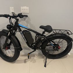 Bicicleta Eléctrica Heavy Duty -  Dual Motor - Special Edition 