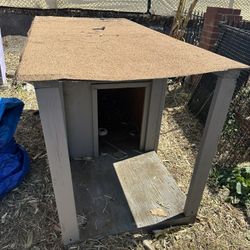 Extra large dog House 