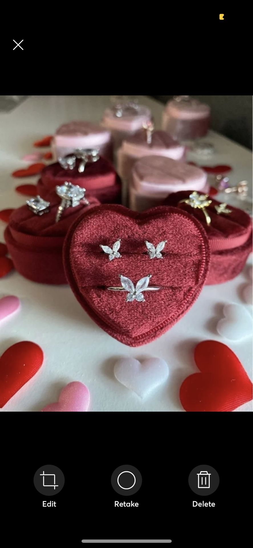 Silver Butterfly Set