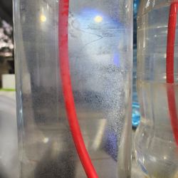 Rotifers, Rotiferos 32 Oz