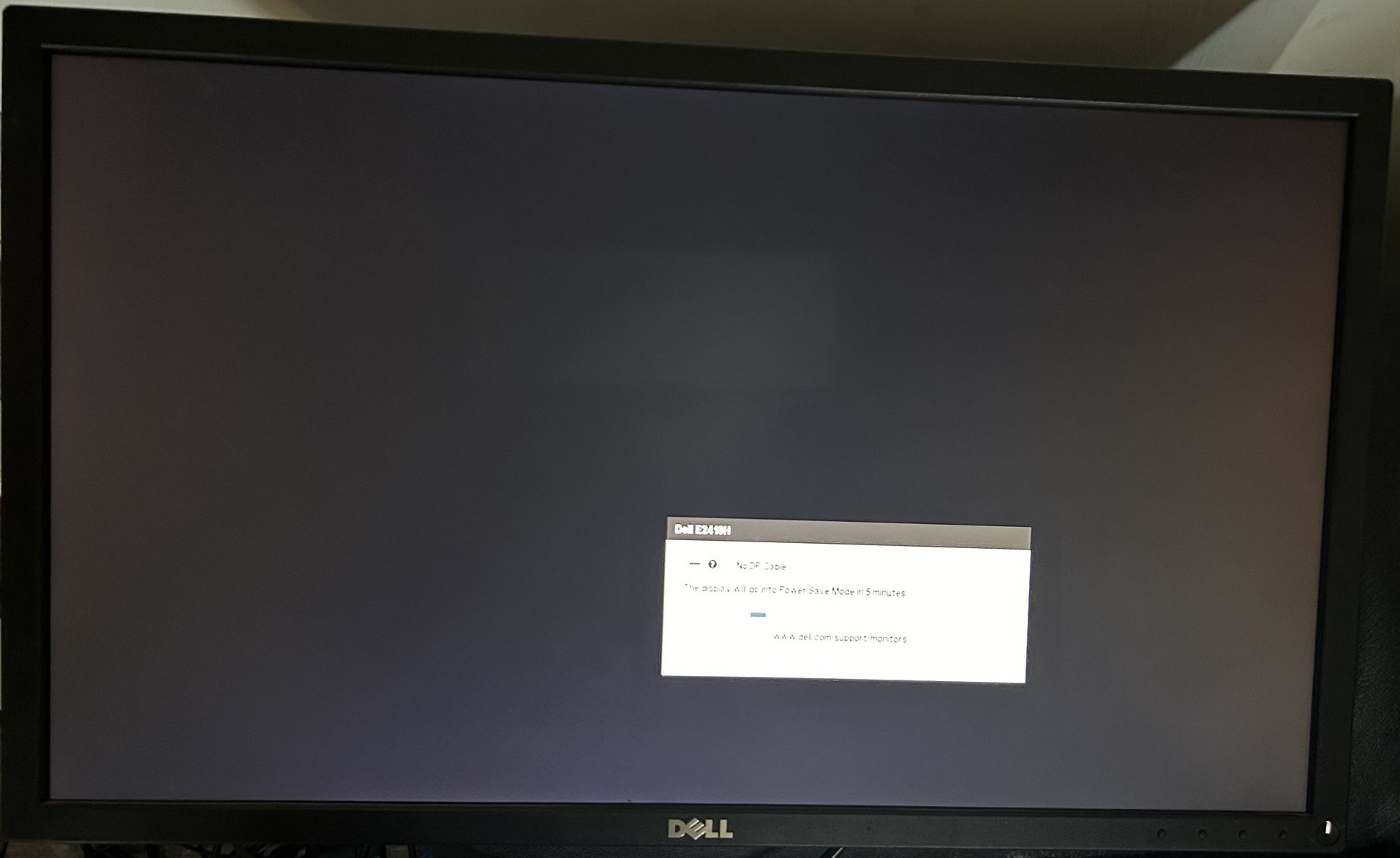 DELL Computer Monitor / Display Screen