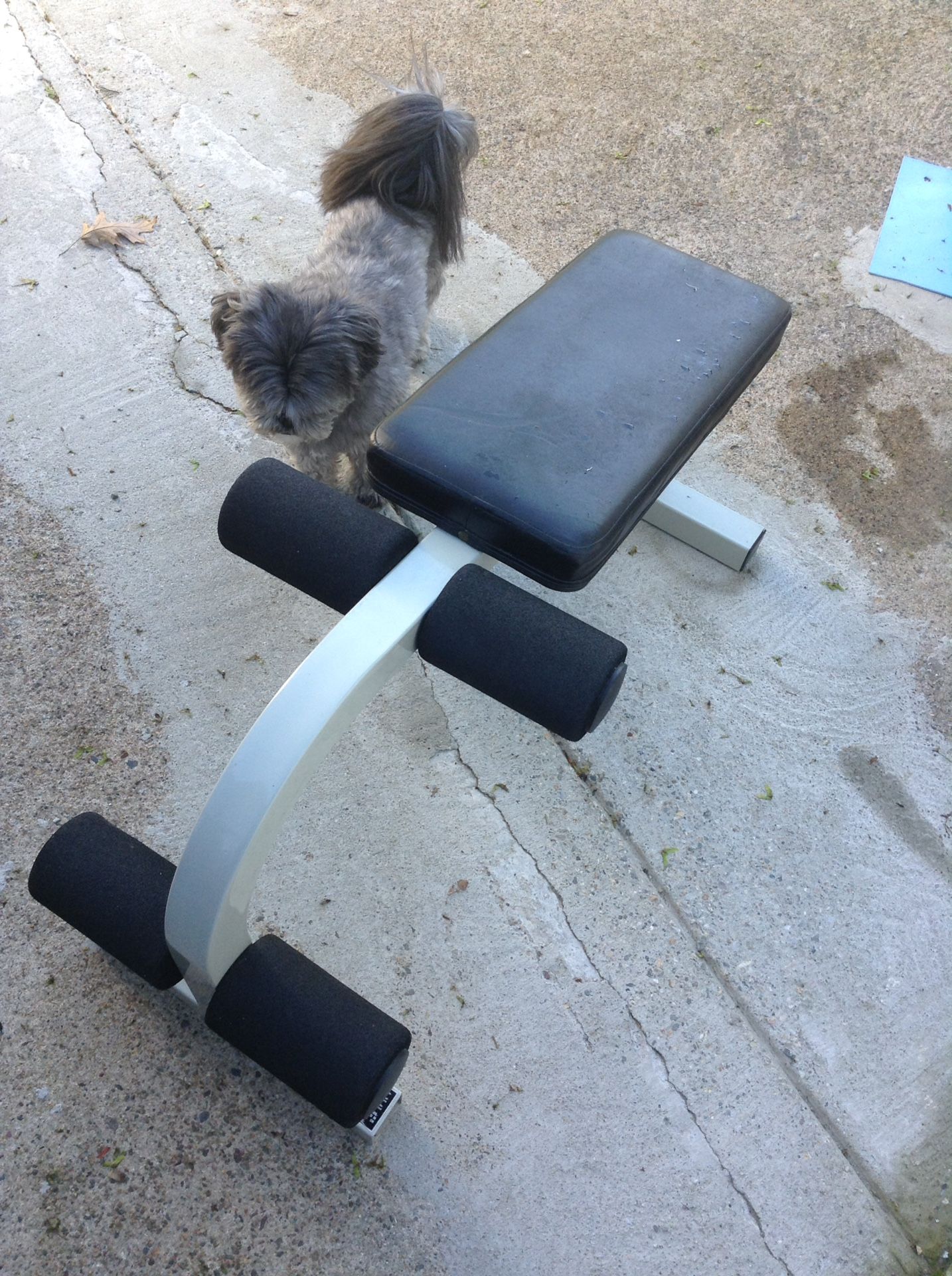 Exercise workout Bench