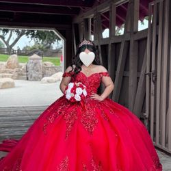 15 Dress/ Vestido De Quincen̈era