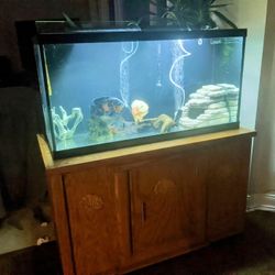 90 Gallon Aquarium with Base