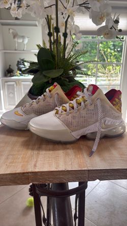USED Nike LeBron 19 Low Magic Fruity Pebbles Basketball Shoes Size 6.5