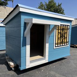 Dog Shelter, Dog House Start At ;