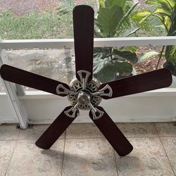 Ceiling Fan 
