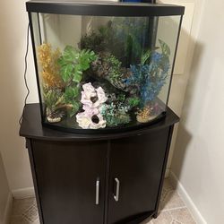 Fish Tank