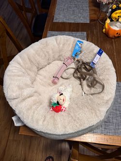 Small dog bed and leashes