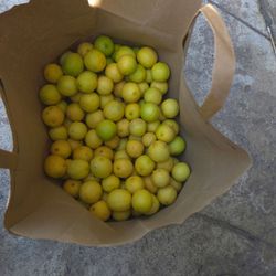 Free limes