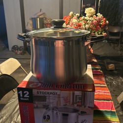 12 Quart Stock Pot Stainless Steel 