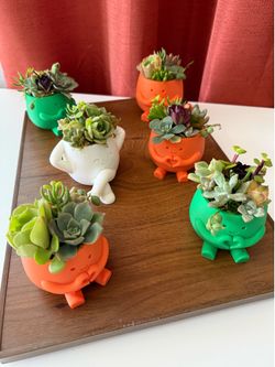 3D printed plant pot with live succulents- Murrieta