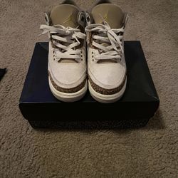 Jordan 3s 