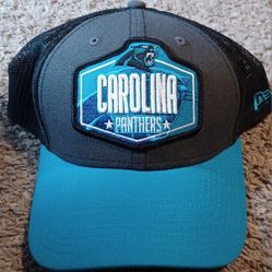 Carolina Panthers Fitted Small Medium Hat Cap New Newton Young Steve 