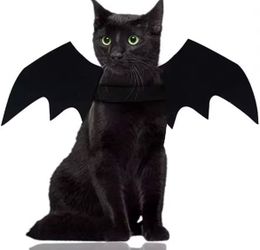 Wholesale Cute Cat Cosplay Costume Black Bat Wings Safety Belt Role Playing Pet Cat Dog Halloween Party Decoration Supplies
