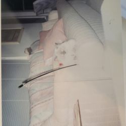 Free Couch