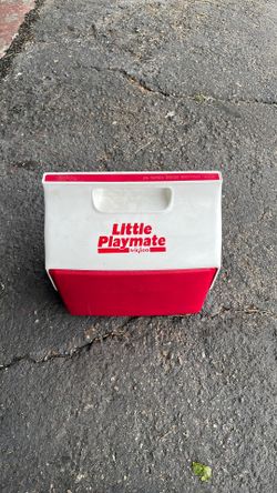 Little Playmate Lunchbox Cooler