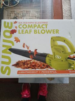 Sundowns Joe Compack blower