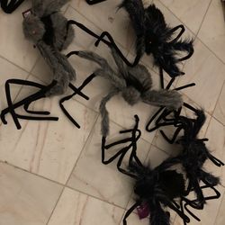 Collection Of Five Halloween Spiders