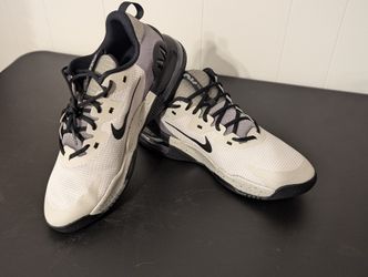 Nike Air Max Alpha trainers