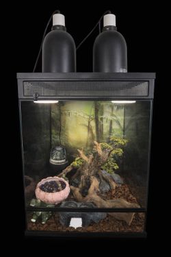 Thrive Tropical Reptile Terrarium Essentials Kit - 30 Gallon