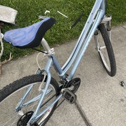 Womens Cross Country Giant Bike