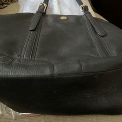  Tory Burch Bag And Giani Bernini Bag