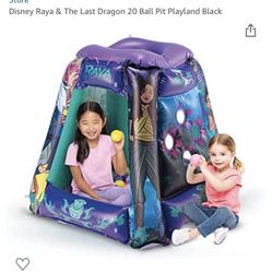 Ball Pit Playland