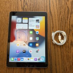 Apple iPad Air 2 16GB Gray Fully Functional with charging cable