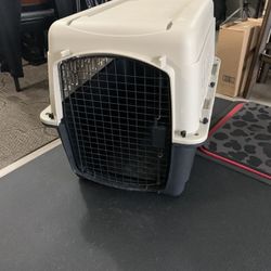 Dog Crate and Dog Bed