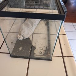 Small Fish Tank 2.5 Gal