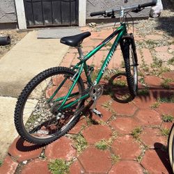 Specialized Bike